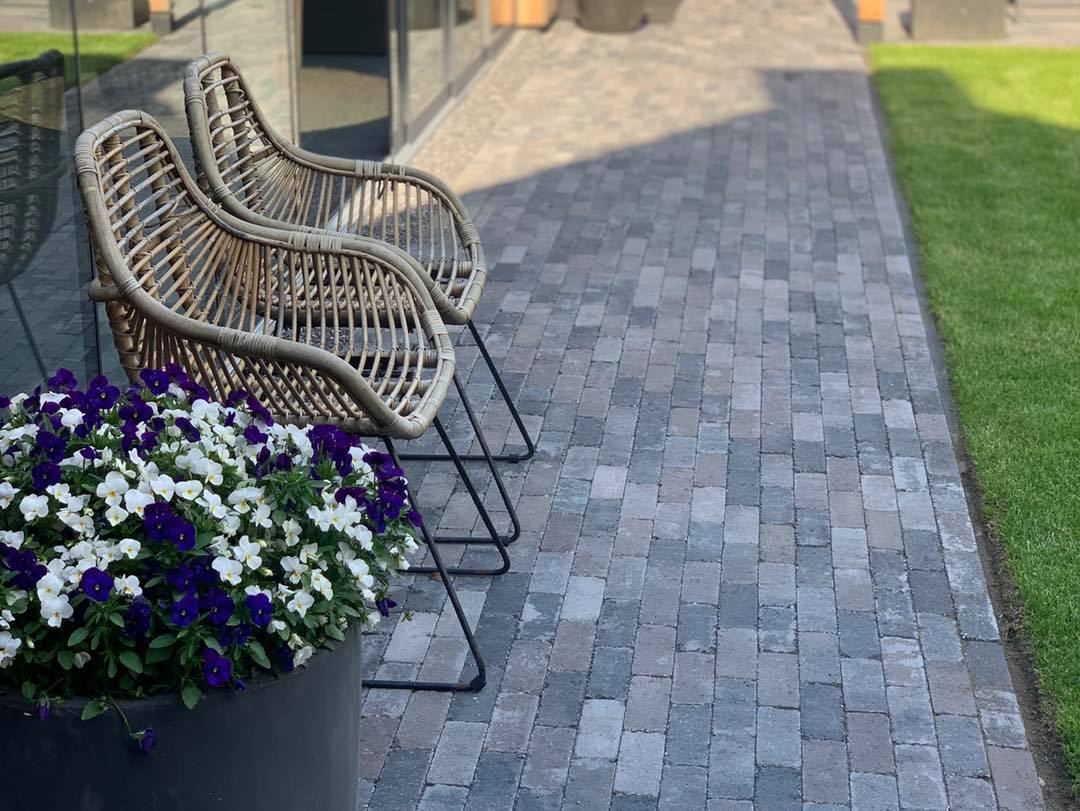 193013249_2275094102625922_3016819600458627544_n