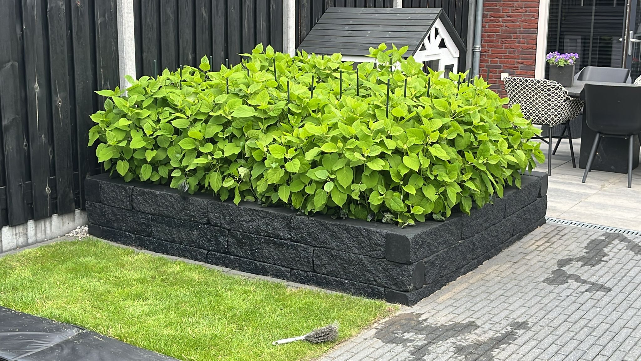 1cf8e655-7cde-4de3-9b88-eb0cff071950