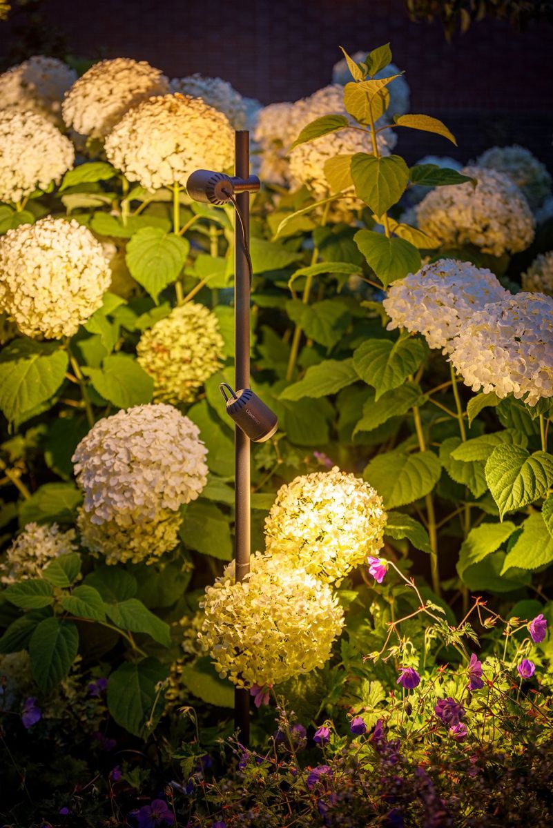 213s_Lightpro_Juno_Tube_3