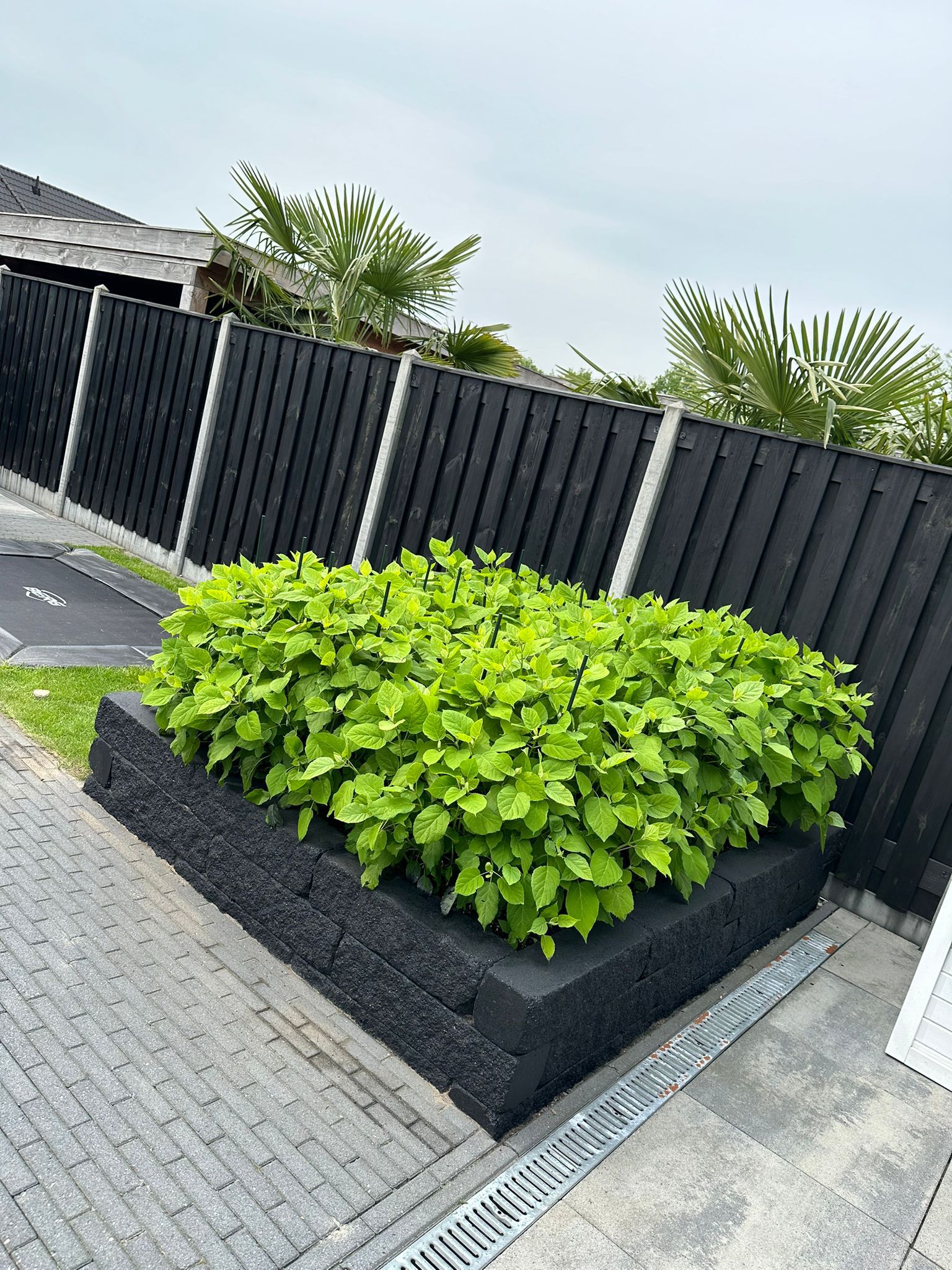 4cd75d7f-0b11-4608-9d79-d288a915f36d