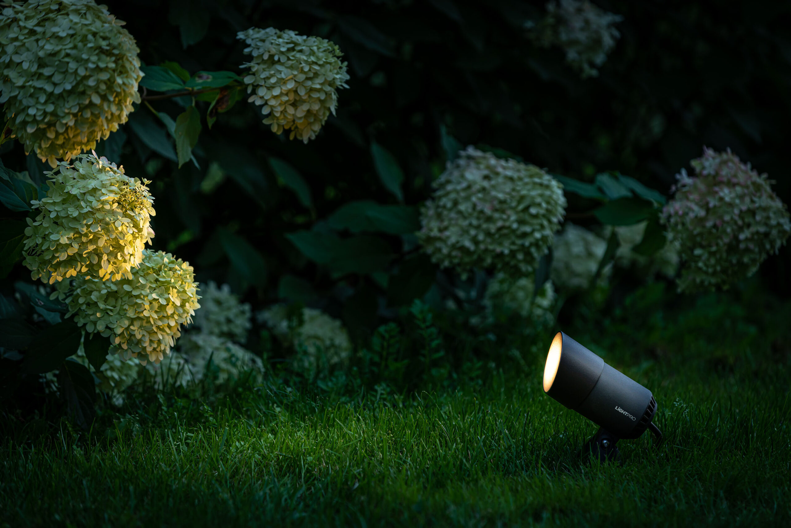 Castor 4 178S + kap 189S_1