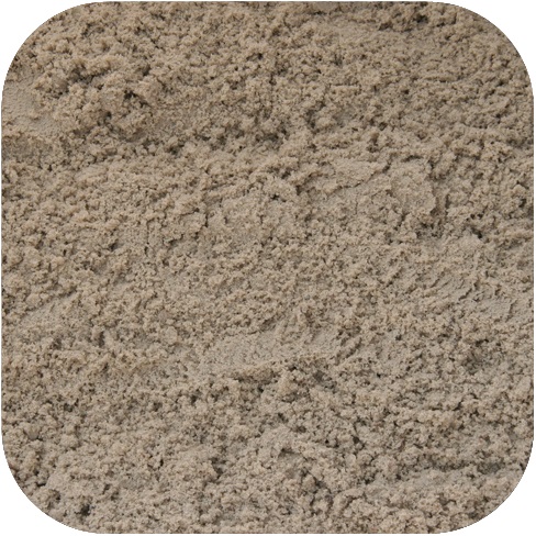 ZANZANDGINBB 11000906