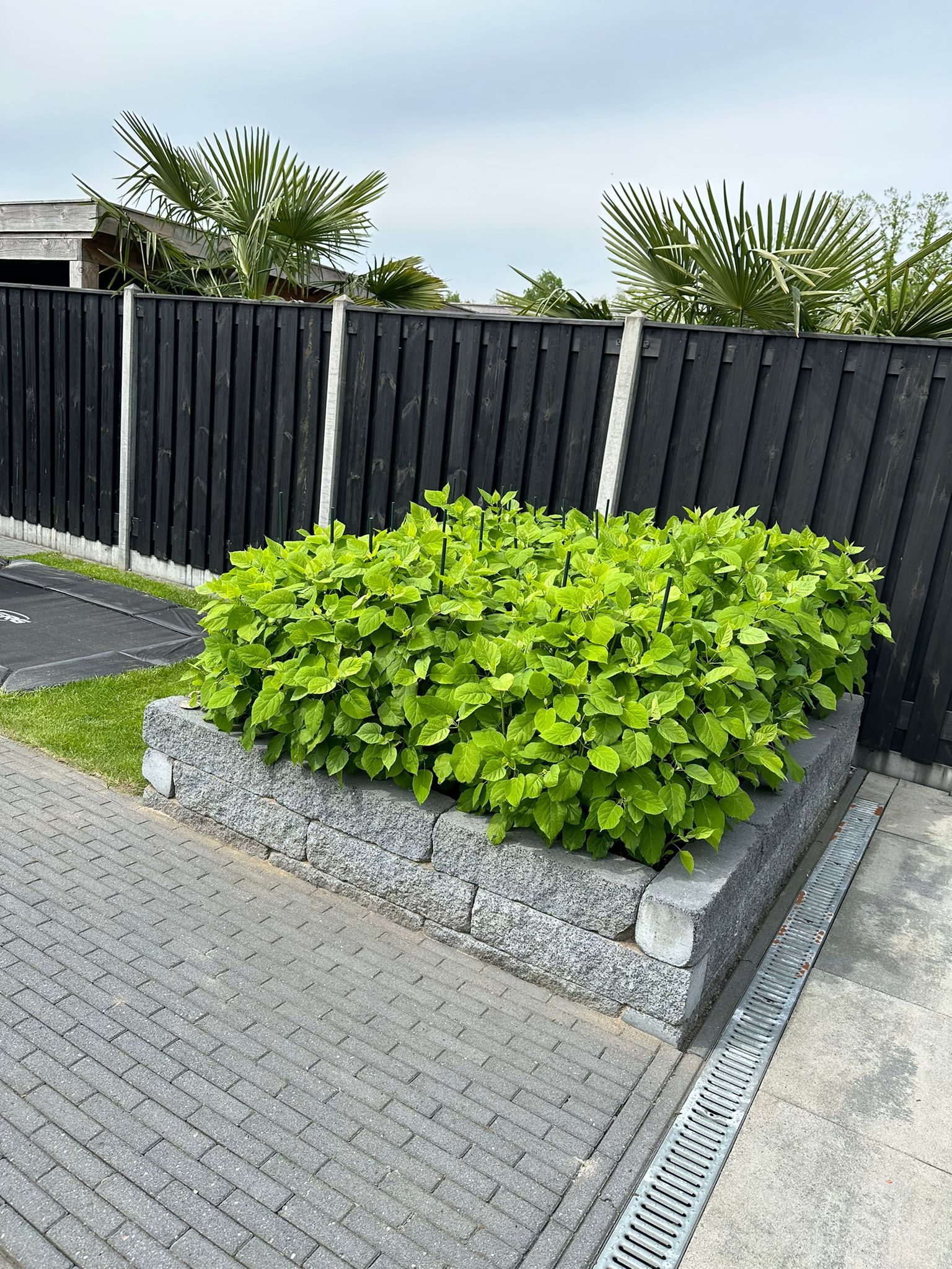 a800de65-966c-4c12-afa8-124d0221691f