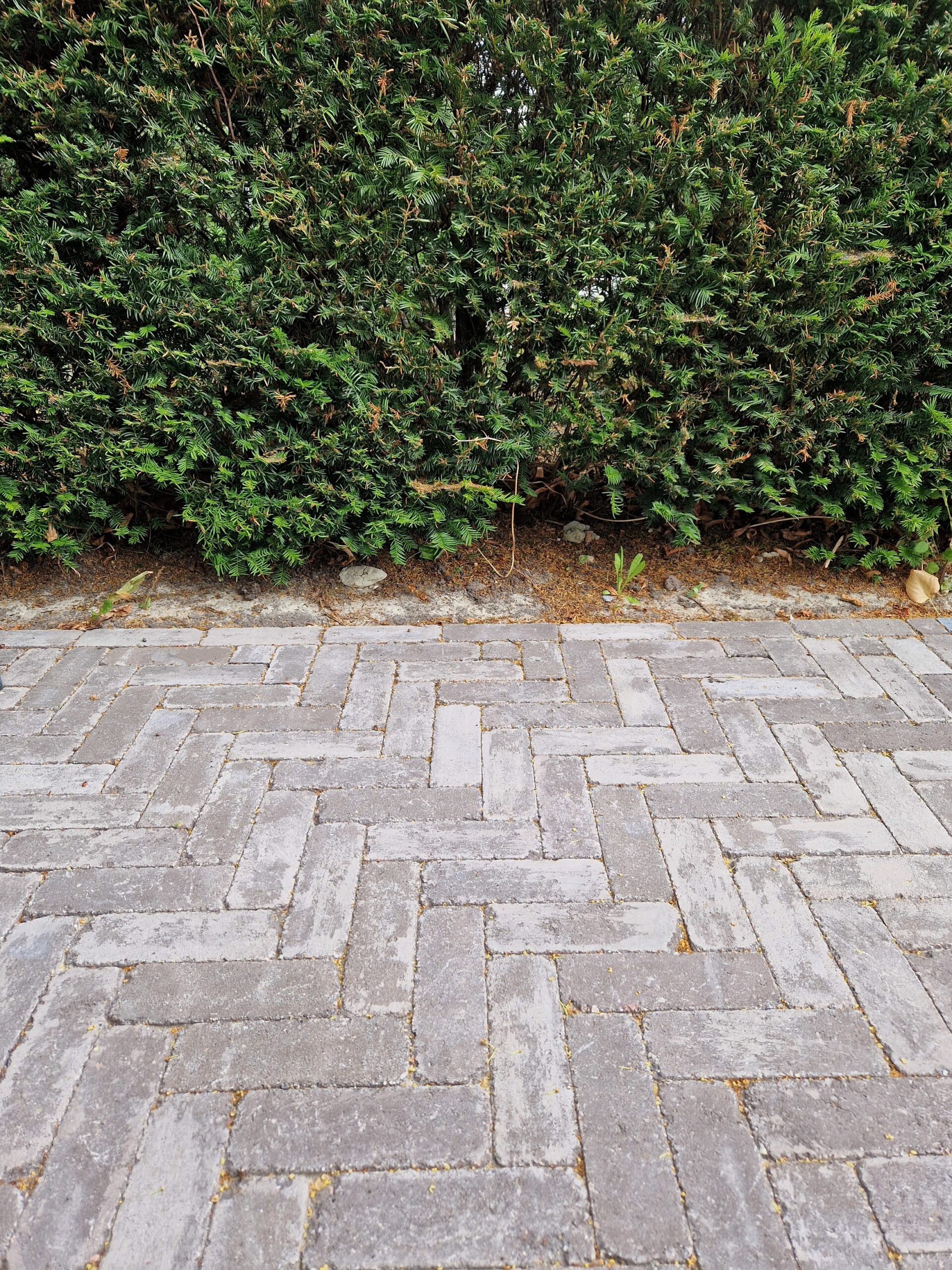 antieke-trommel-dikformaat-6-cm-mangaan (1)