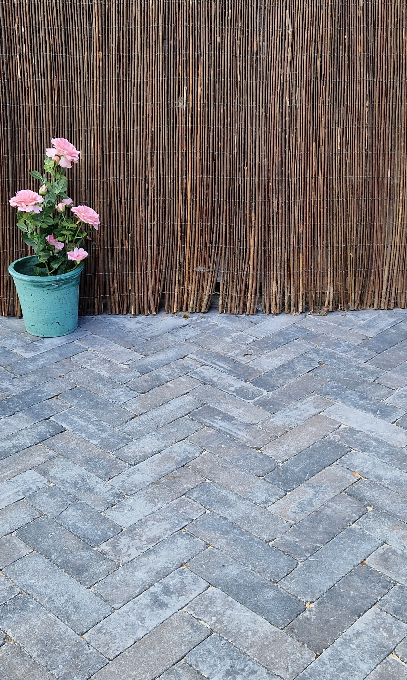 antieke-trommel-longstone-7-cm-oud-drachten (2)