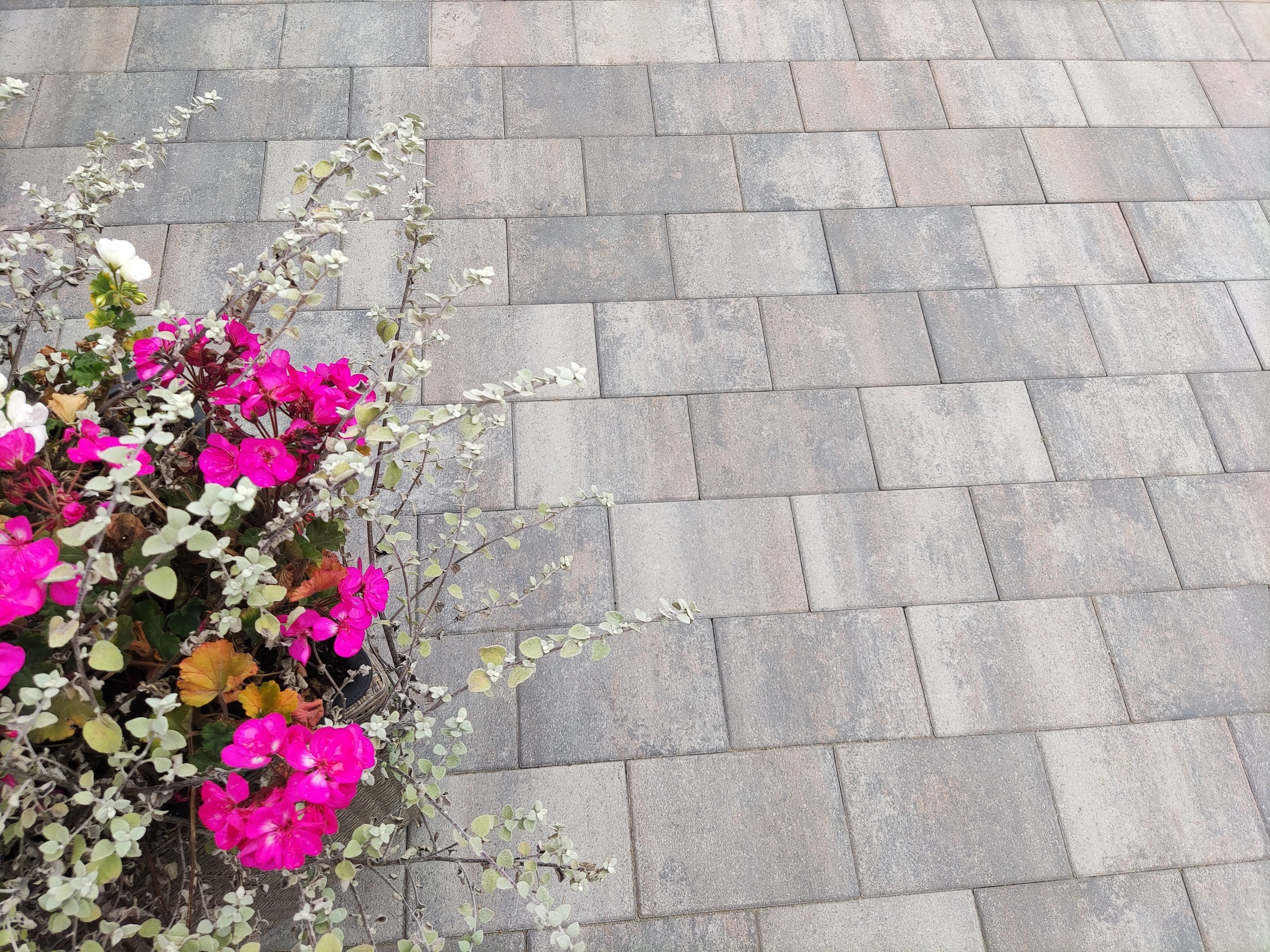 h2o-comfort-square-20x30x6-cm-tricolore (1)