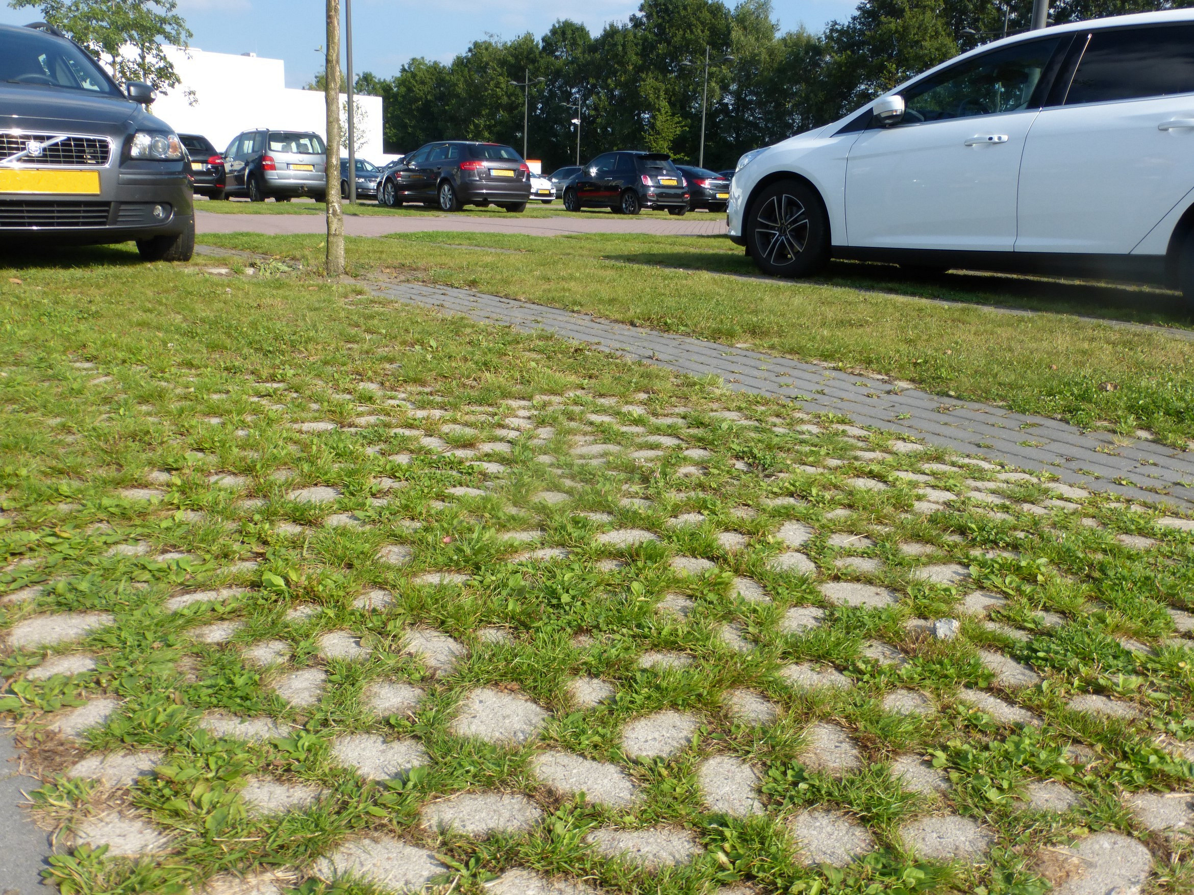 keigrassteen-45x45x10-cm-grijs