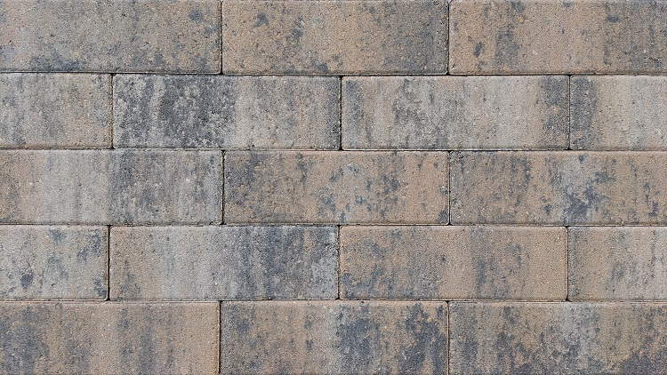 longstone-opritsteen-7-cm-musselkalk