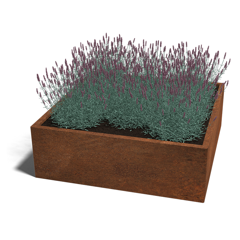 miami120x120x40_corten_1