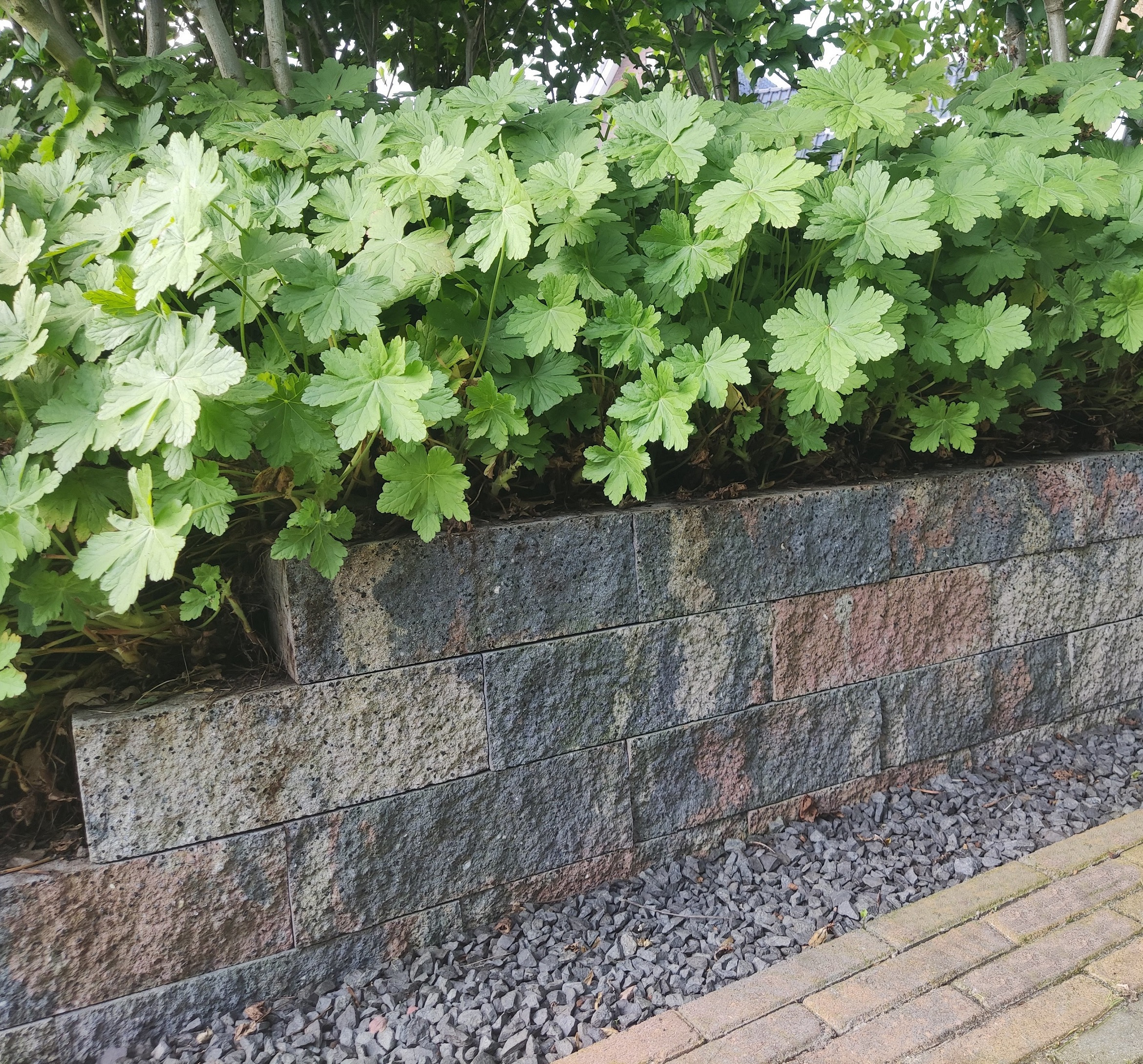 splitrock-32x13x11-cm-tricolore (1)