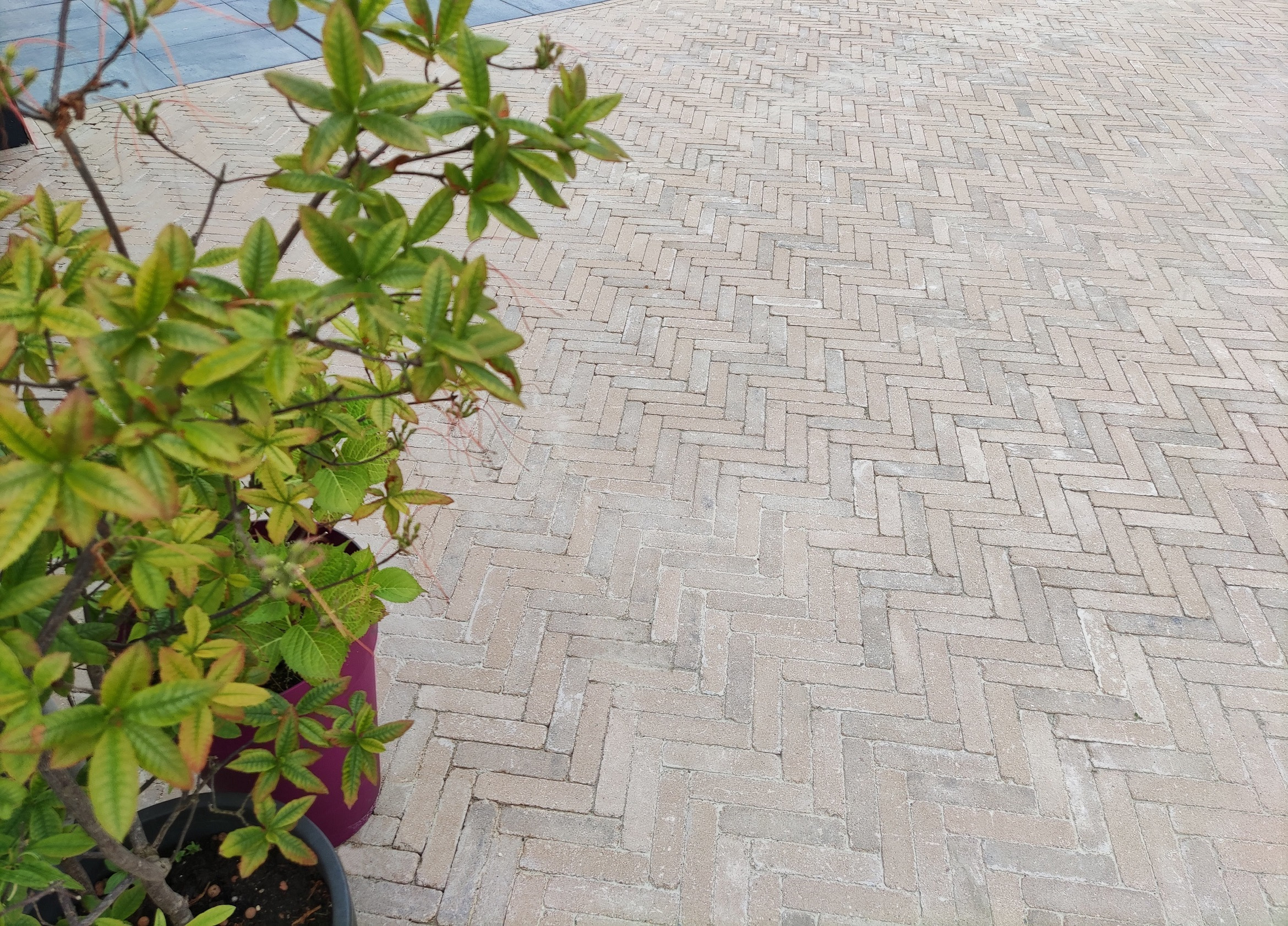 trommel-waalformaat-7-cm-camel (2)